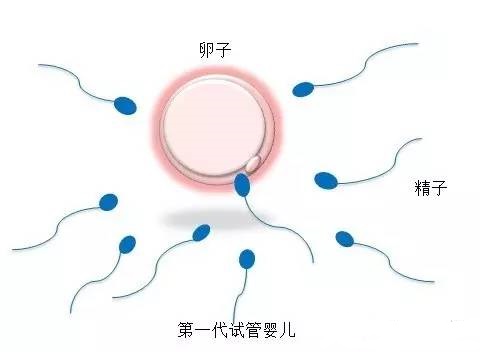 苏医生